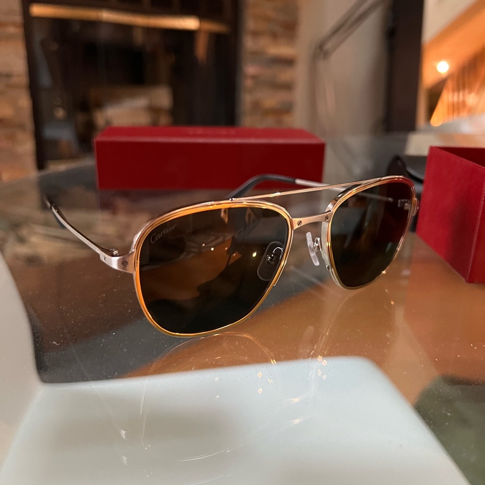 Santos De Cartier Platinum Finish Sunglasses